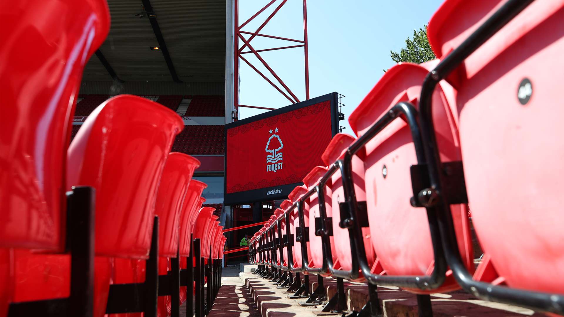 他们的晋级 他们的晋级